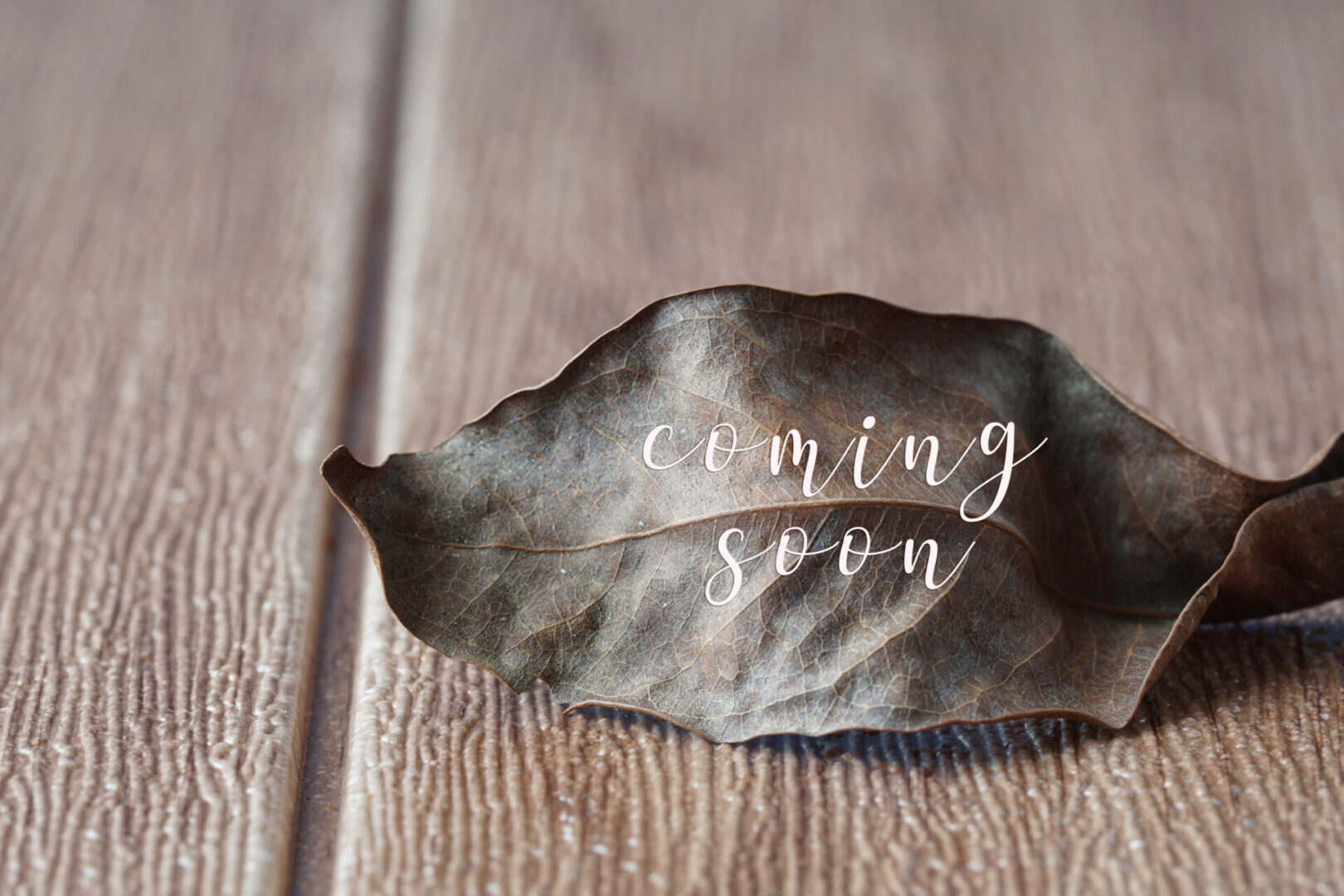 A leaf with the words " coming soon " written on it.